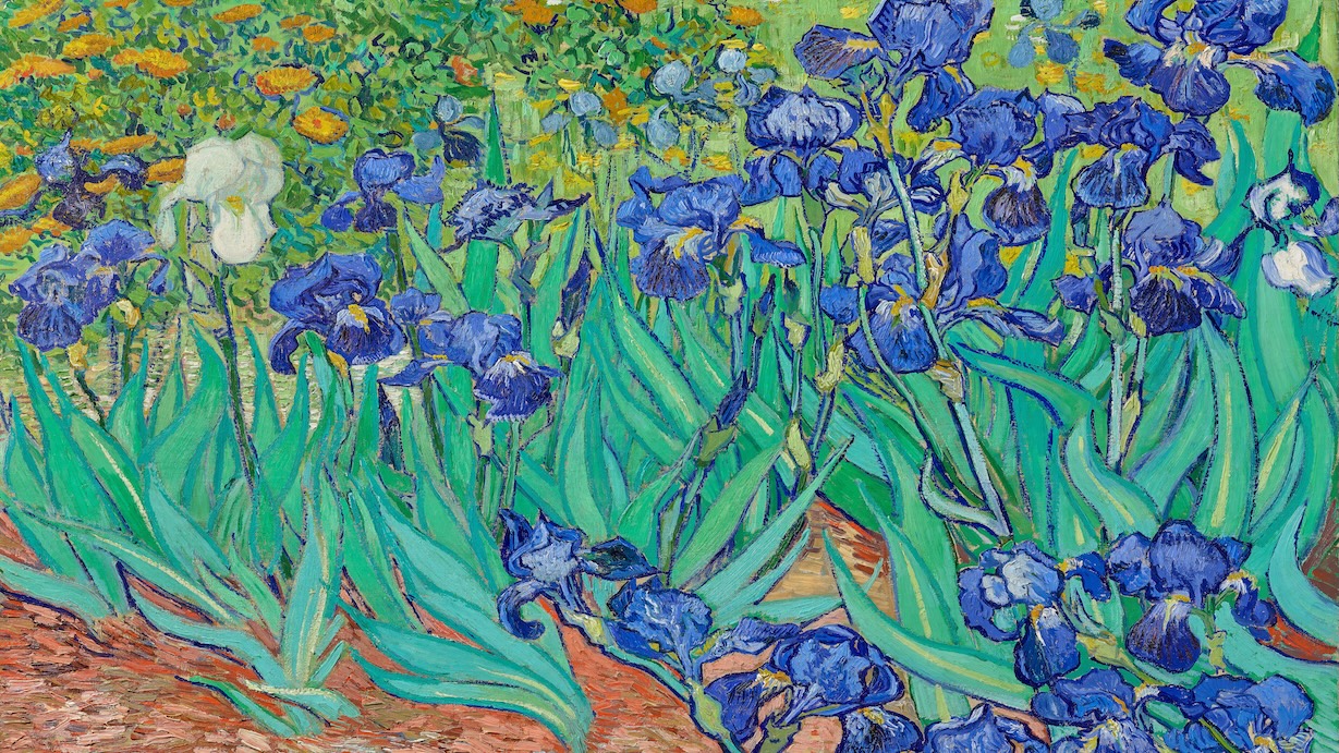 Irises by Vincent van Gogh
