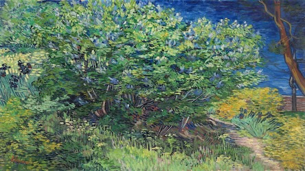 Lilac Bush by Vincent van Gogh