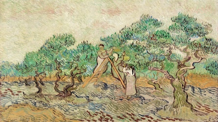 Olive Orchard by Vincent van Gogh