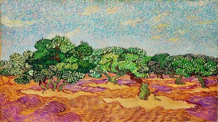 Olive Trees by Vincent van Gogh