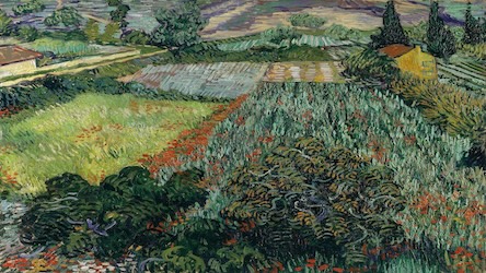 Field with Poppies by Vincent van Gogh