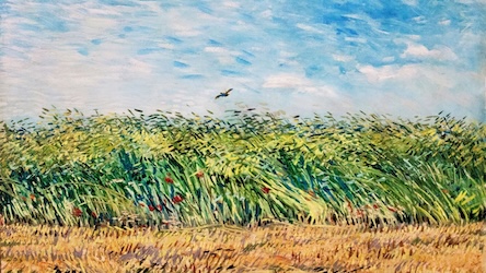 Wheatfield with Partridge by Vincent van Gogh