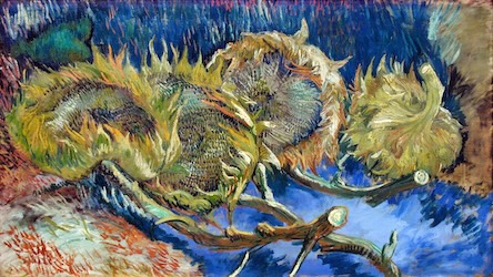 Withered Sunflowers by Vincent van Gogh