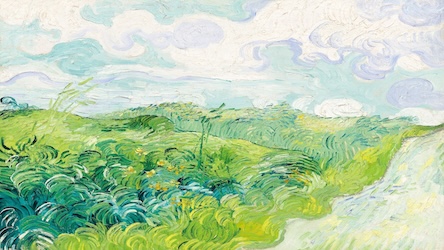 Green Wheat Field by Vincent van Gogh