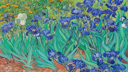 Irises by Vincent van Gogh
