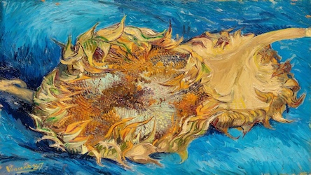 Sunflower by Vincent van Gogh