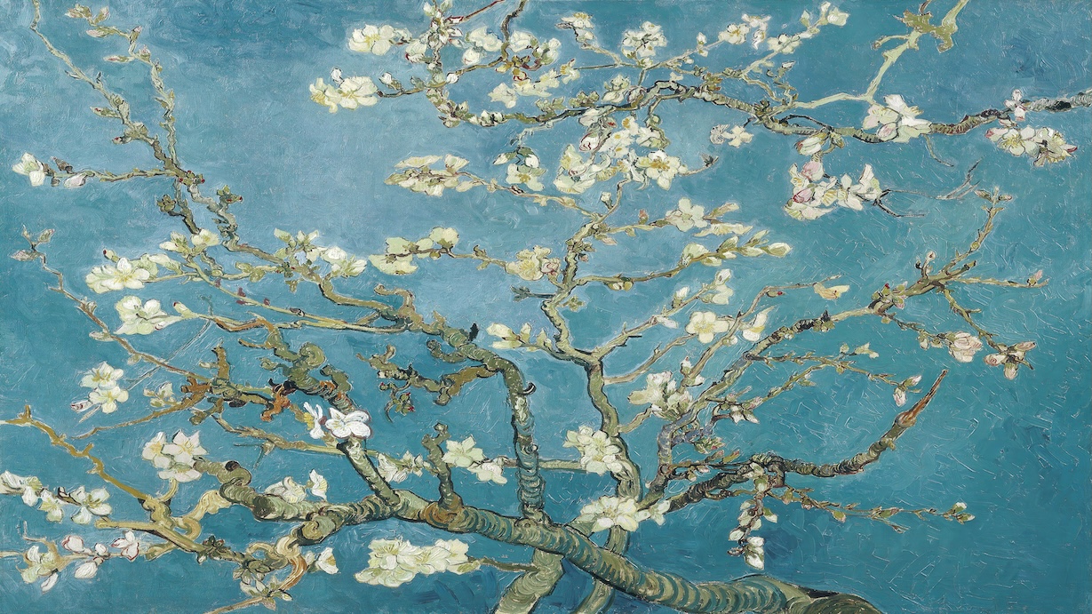 Almond Blossom by Claude Monet
