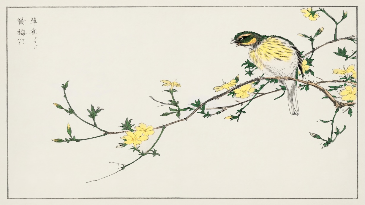 Bunting and Plum Tree - Japanese Vintage Art