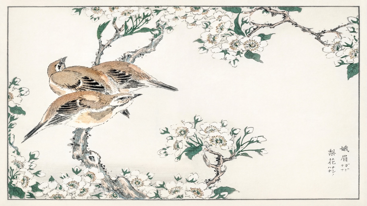 Meadow Bunting and Pear Flower - Japanese Vintage Art