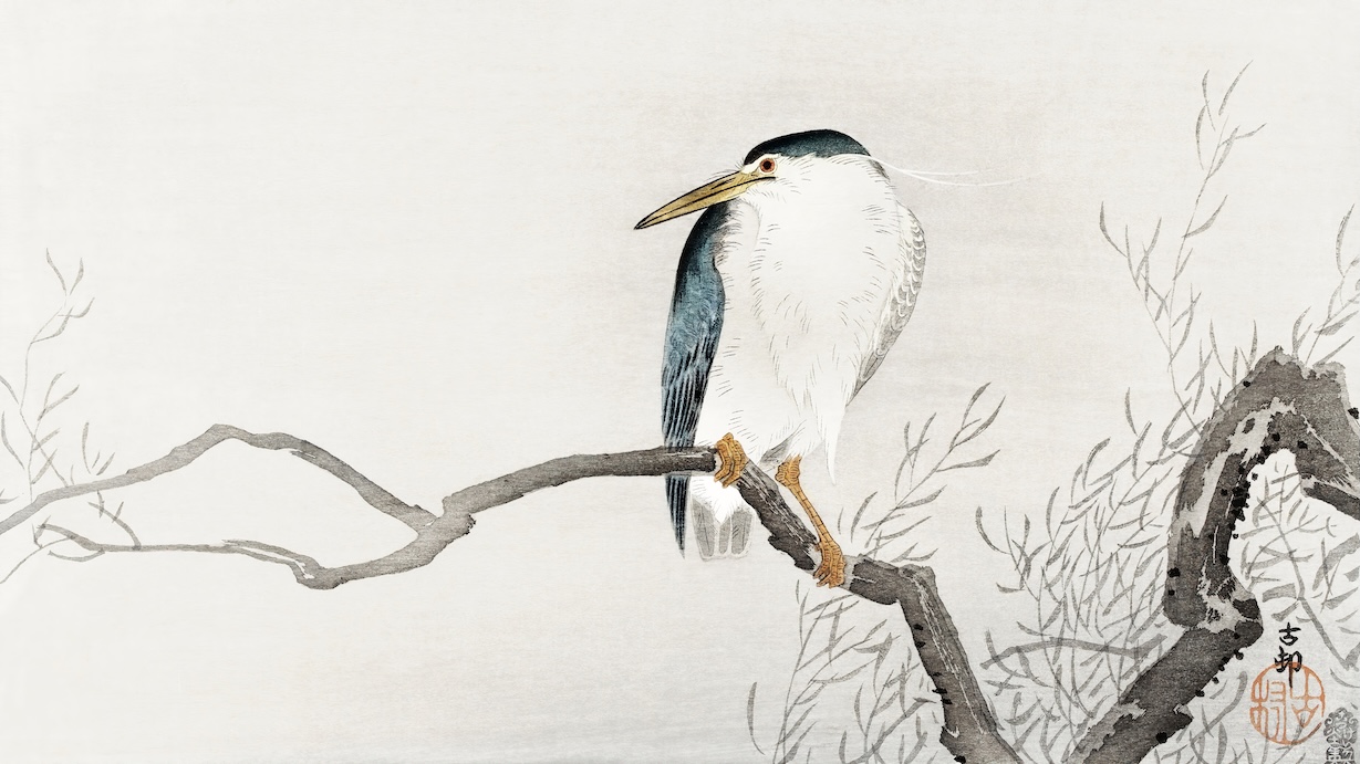 Duck on Branch - Japanese Vintage Art
