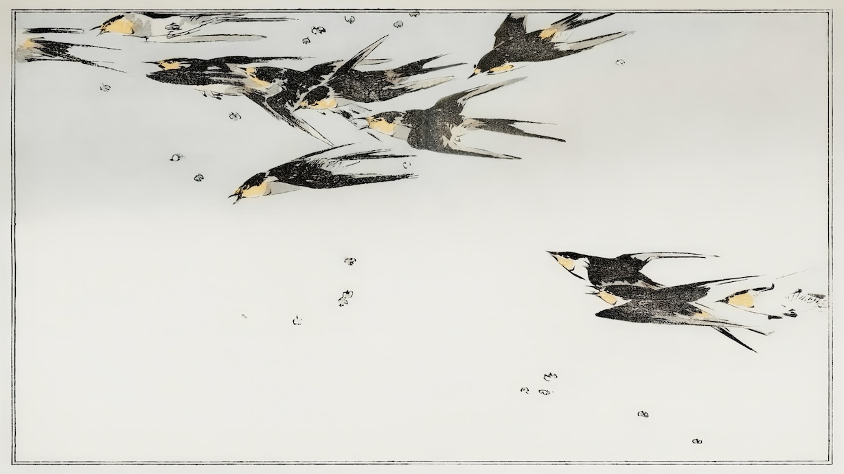 Flying Magpies - Japanese Vintage Art