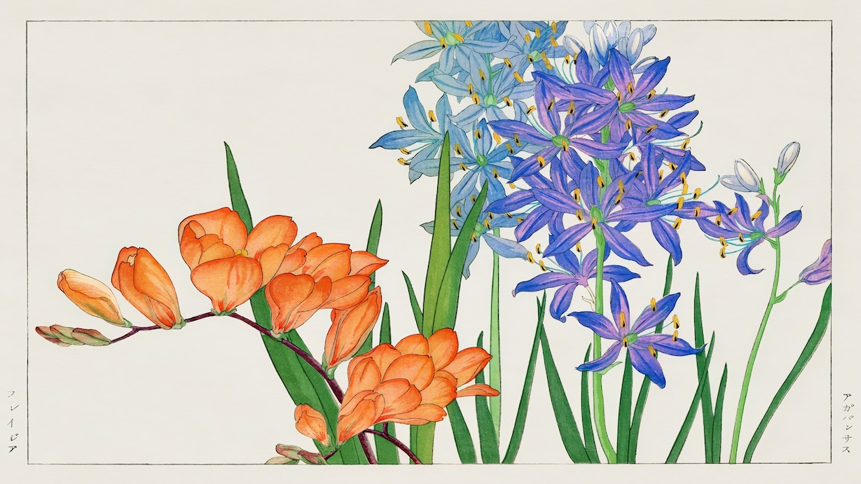Vintage Freesia Flower - Japanese Vintage Art