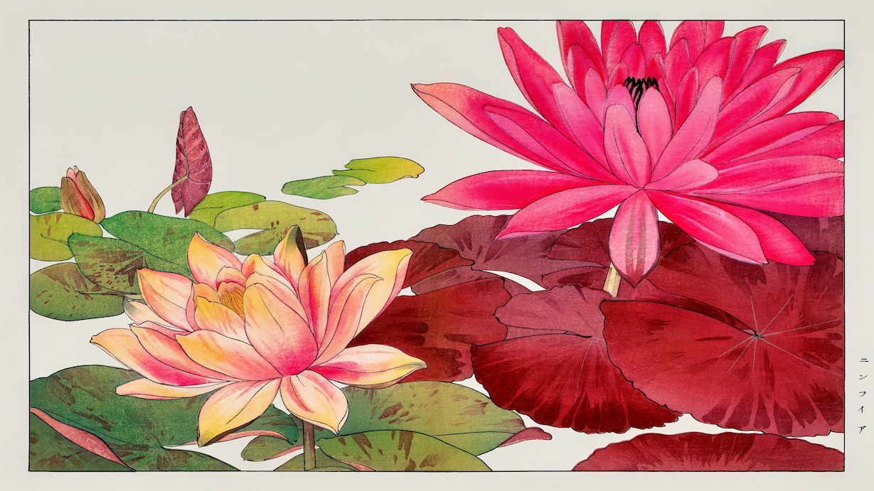 Vintage Japanese Lotus II - Japanese Vintage Art