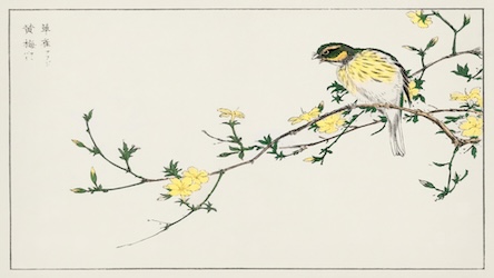 Bunting and Plum Tree - Japanese Vintage Art