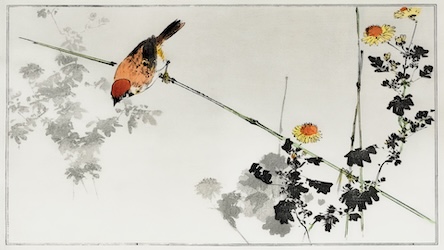 Japanese Swallow Bird - Japanese Vintage Art