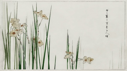 Jonquil Flowers - Japanese Vintage Art