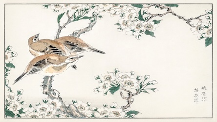Meadow Bunting and Pear Flower - Japanese Vintage Art