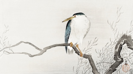 Duck on Branch - Japanese Vintage Art