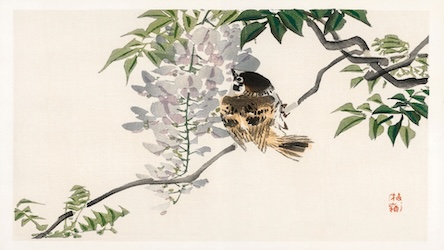 Sparrow on a Branch - Japanese Vintage Art