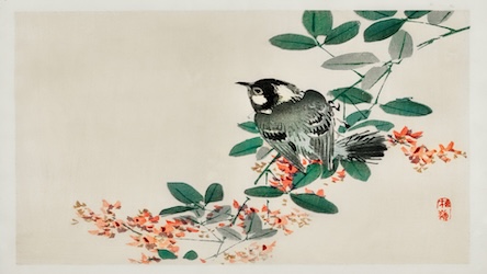 Bird on Branch - Japanese Vintage Art