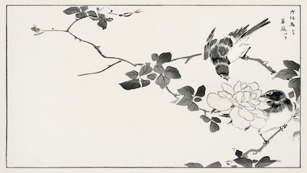 Japanese Robin and Rose - Japanese Vintage Art