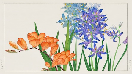 Vintage Freesia Flower - Japanese Vintage Art
