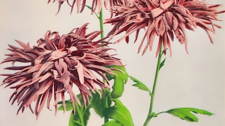 Pink Vintage Japanese Flowers - Japanese Vintage Art