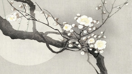 Plum Blossom and Moon - Japanese Vintage Art