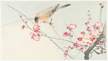 Songbird on Blossom Branch - Japanese Vintage Art