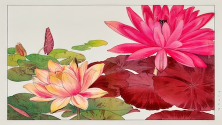 Vintage Japanese Lotus II - Japanese Vintage Art