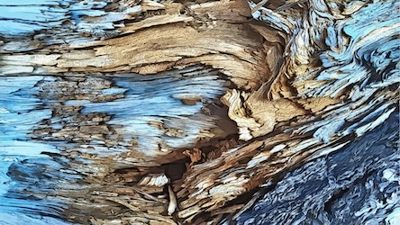 Blue Tree Bark Abstract by Contemporary Artist - Abstract Art