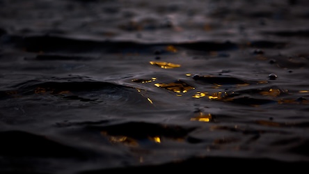Gold on Black Waters by Contemporary Artist - Abstract Art