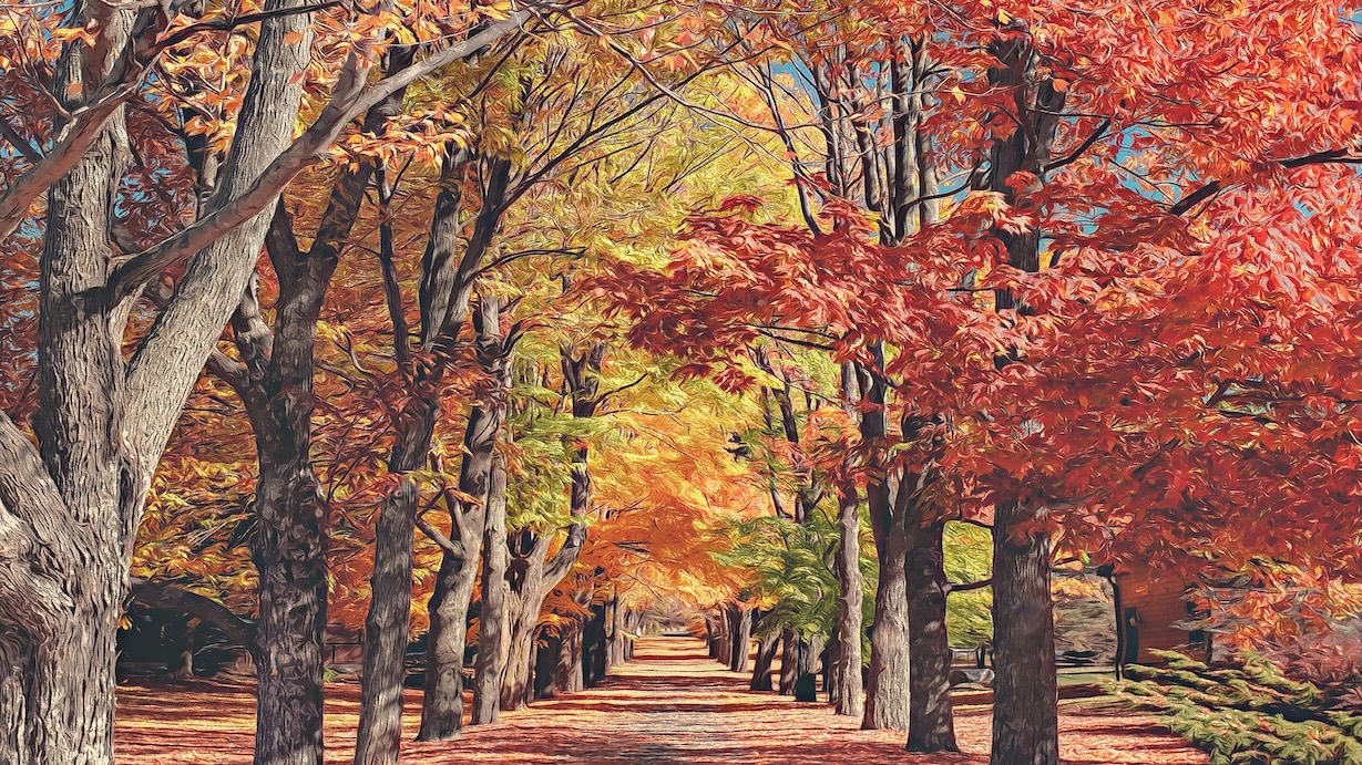 Autumn Park Alley - Park Alley Artist Autumn Art