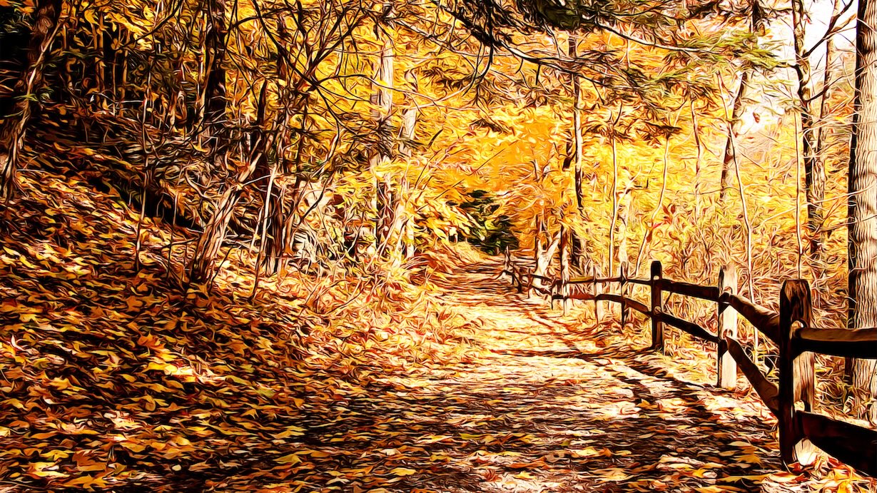 Forest Fall Trail - Fall Trail Artist Autumn Art