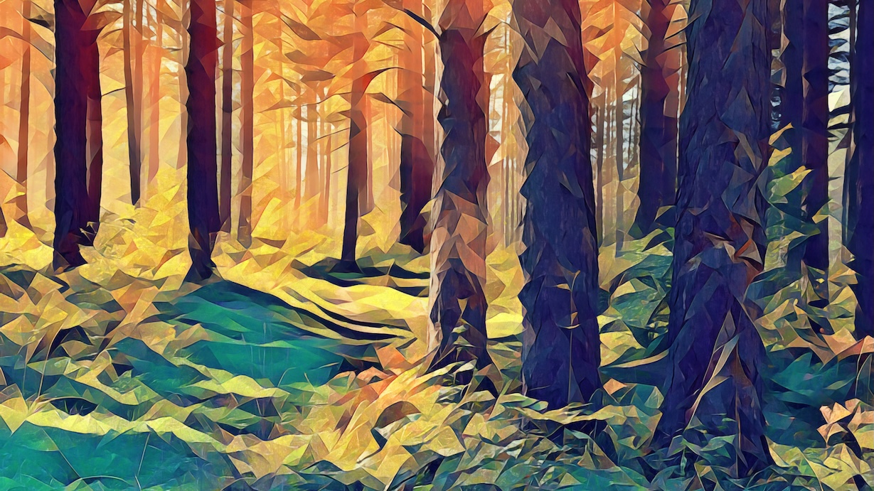 Forest in the Fall - Fall Forest Artist Autumn Art