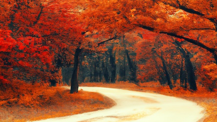 Fall Forest Trail 6