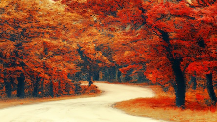 Autumn Collection