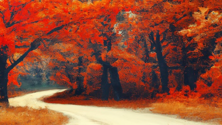 Fall Forest Trail 8