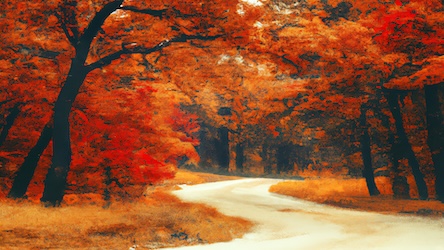 Fall Forest Trail 9