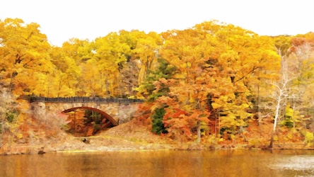 Fall Landscape