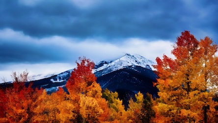 Snowcapped Mountain and Autumn Forest