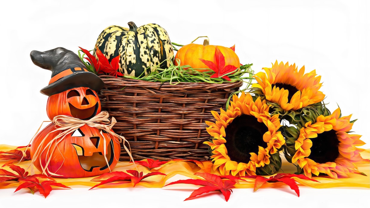 Halloween Harvest Decoration