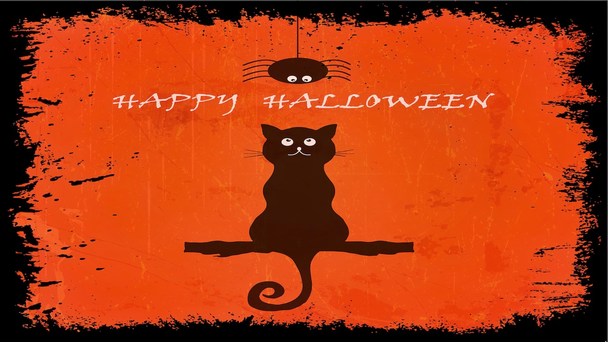 Happy Halloween Cat