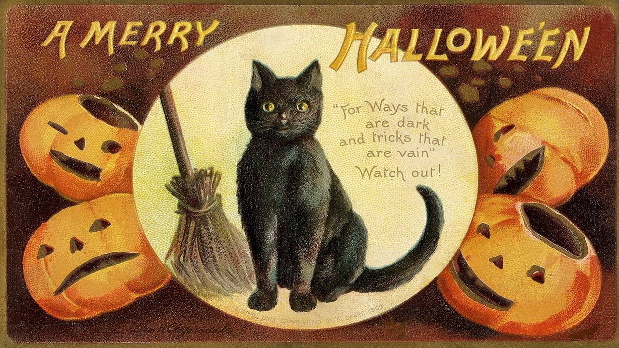 Vintage Halloween Cat Postcard