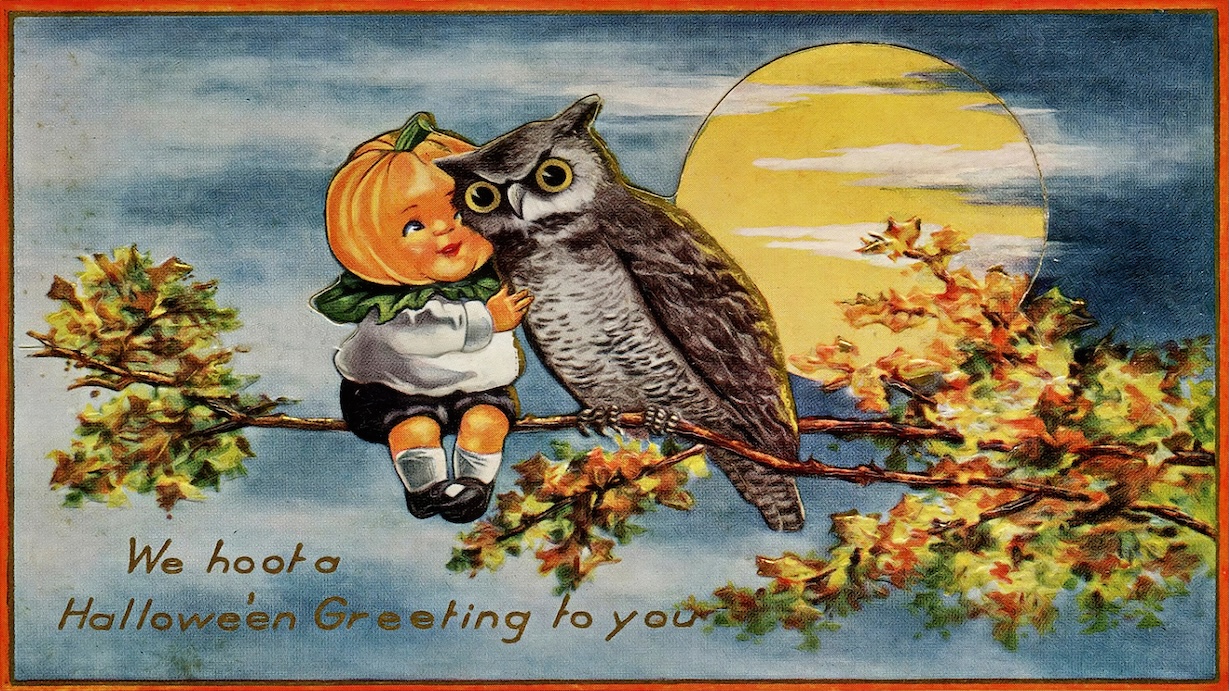 Vintage Pumpkin Owl Halloween