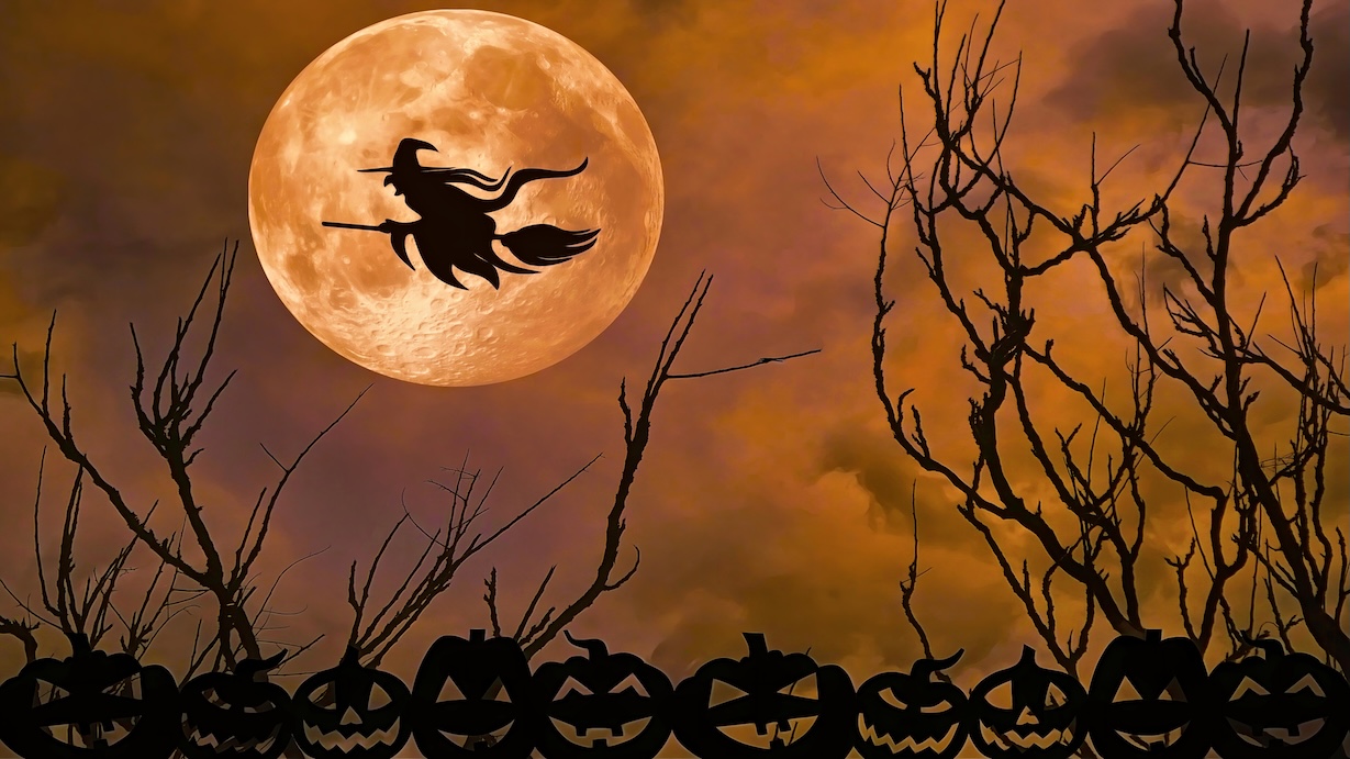 Halloween Collection