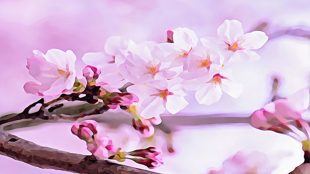 Pink Blossom Digital Painting - Digital Spring Artist Spring Art