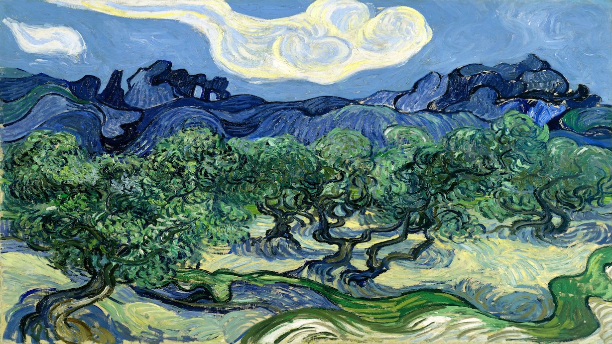 Van Gogh Olive Trees - Vincent van Gogh Spring Art