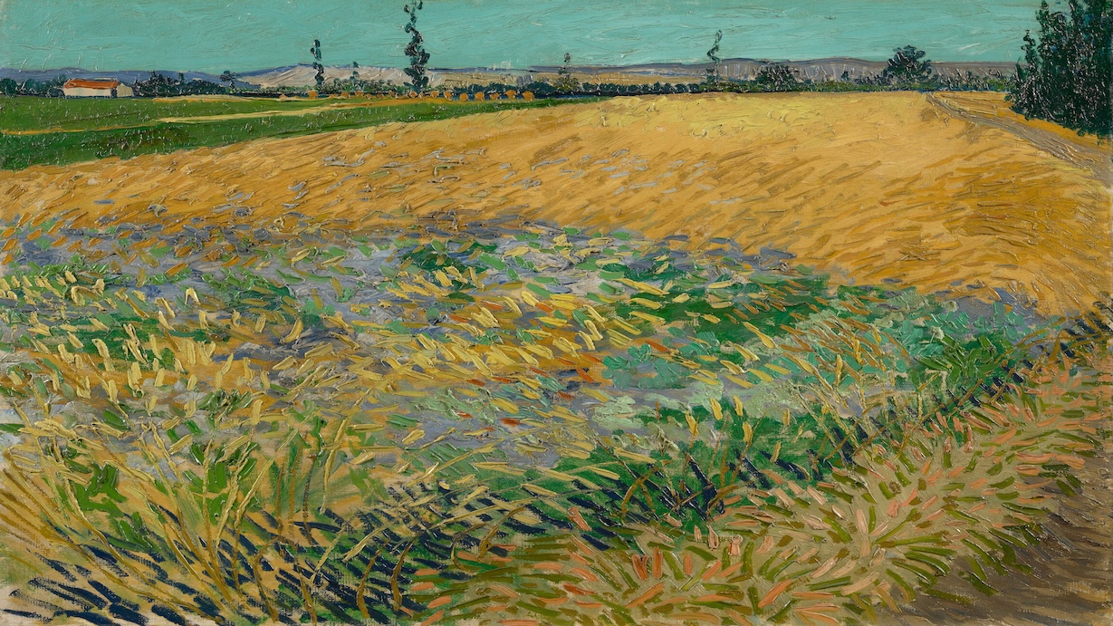 Van Gogh Wheatfield Landscape - Vincent van Gogh Summer Art