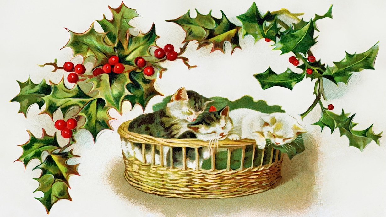 Vintage Christmas Cats Postcard - Cat Postcard Artist Vintage Christmas Art